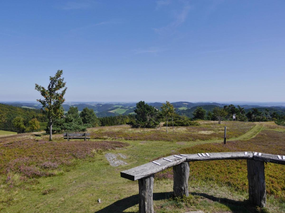 Fewo Blumes Bergfrieden Mit Meinecardplus Willingen  Dış mekan fotoğraf