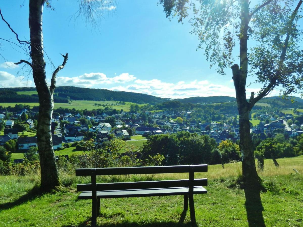 Fewo Blumes Bergfrieden Mit Meinecardplus Willingen  Dış mekan fotoğraf