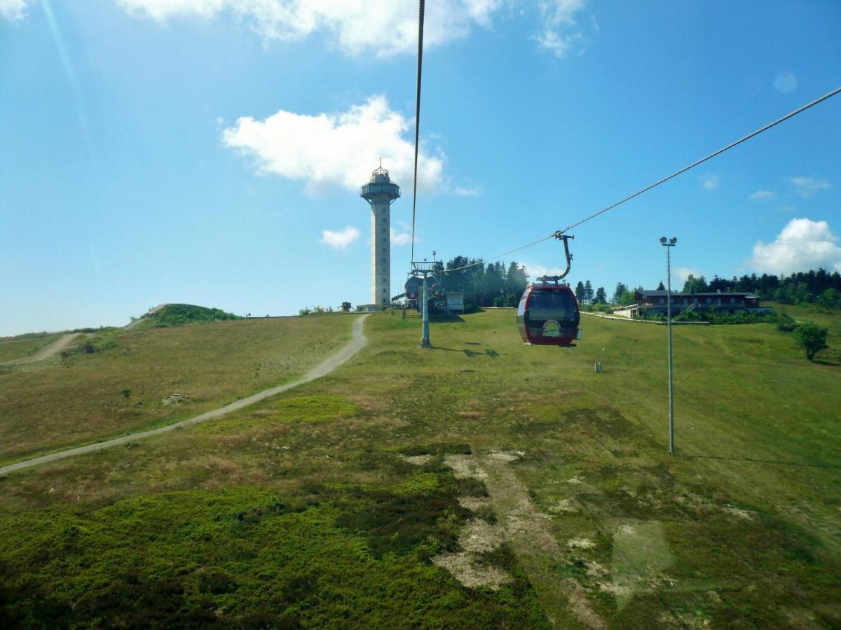 Fewo Blumes Bergfrieden Mit Meinecardplus Willingen  Dış mekan fotoğraf