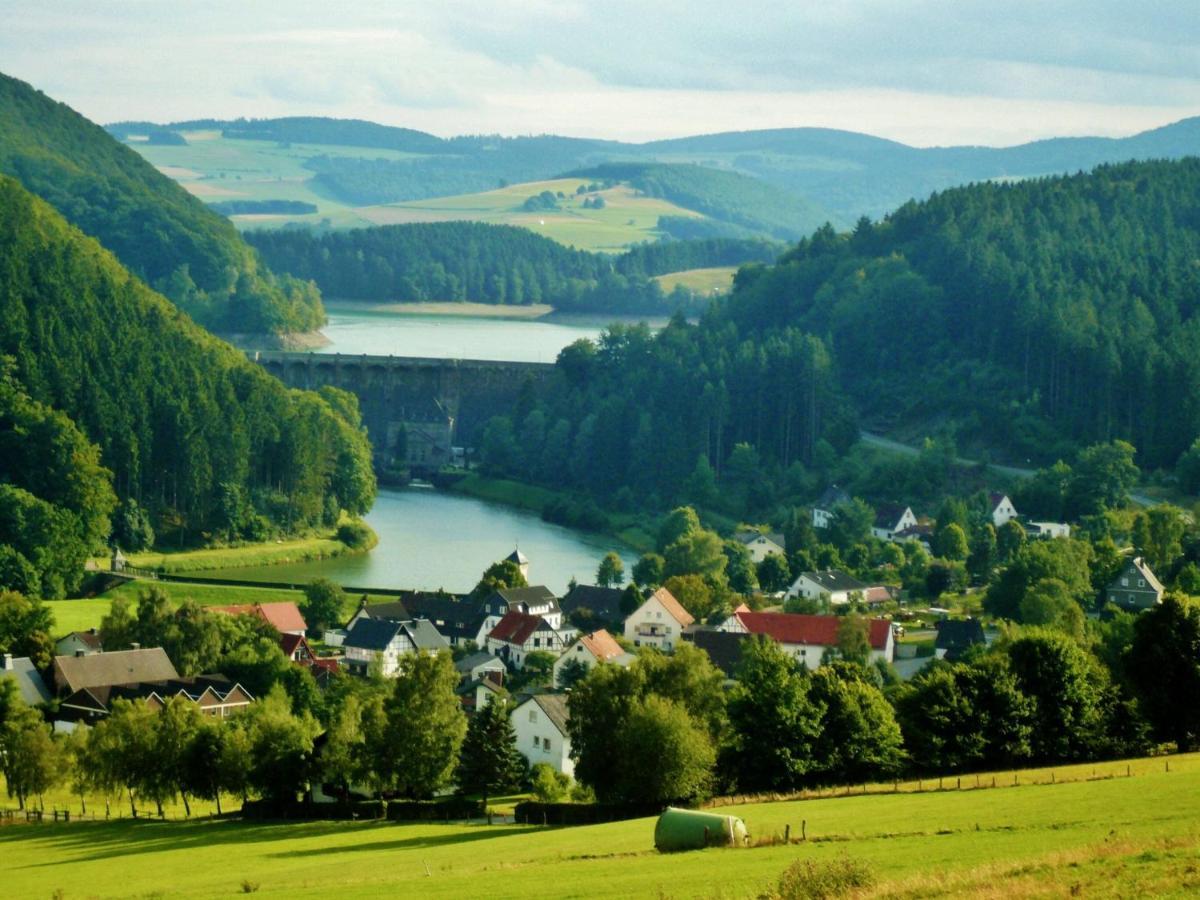 Fewo Blumes Bergfrieden Mit Meinecardplus Willingen  Dış mekan fotoğraf