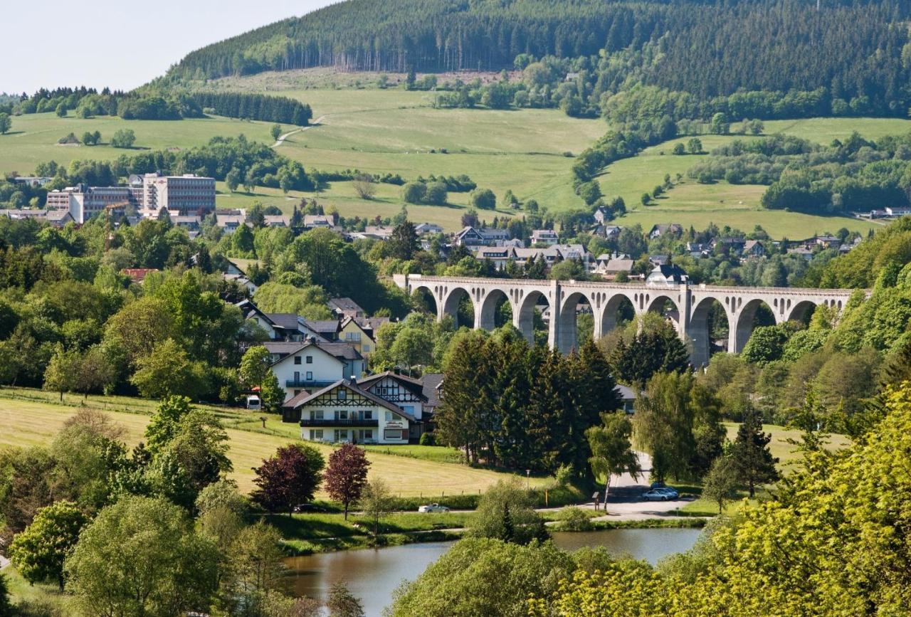 Fewo Blumes Bergfrieden Mit Meinecardplus Willingen  Dış mekan fotoğraf