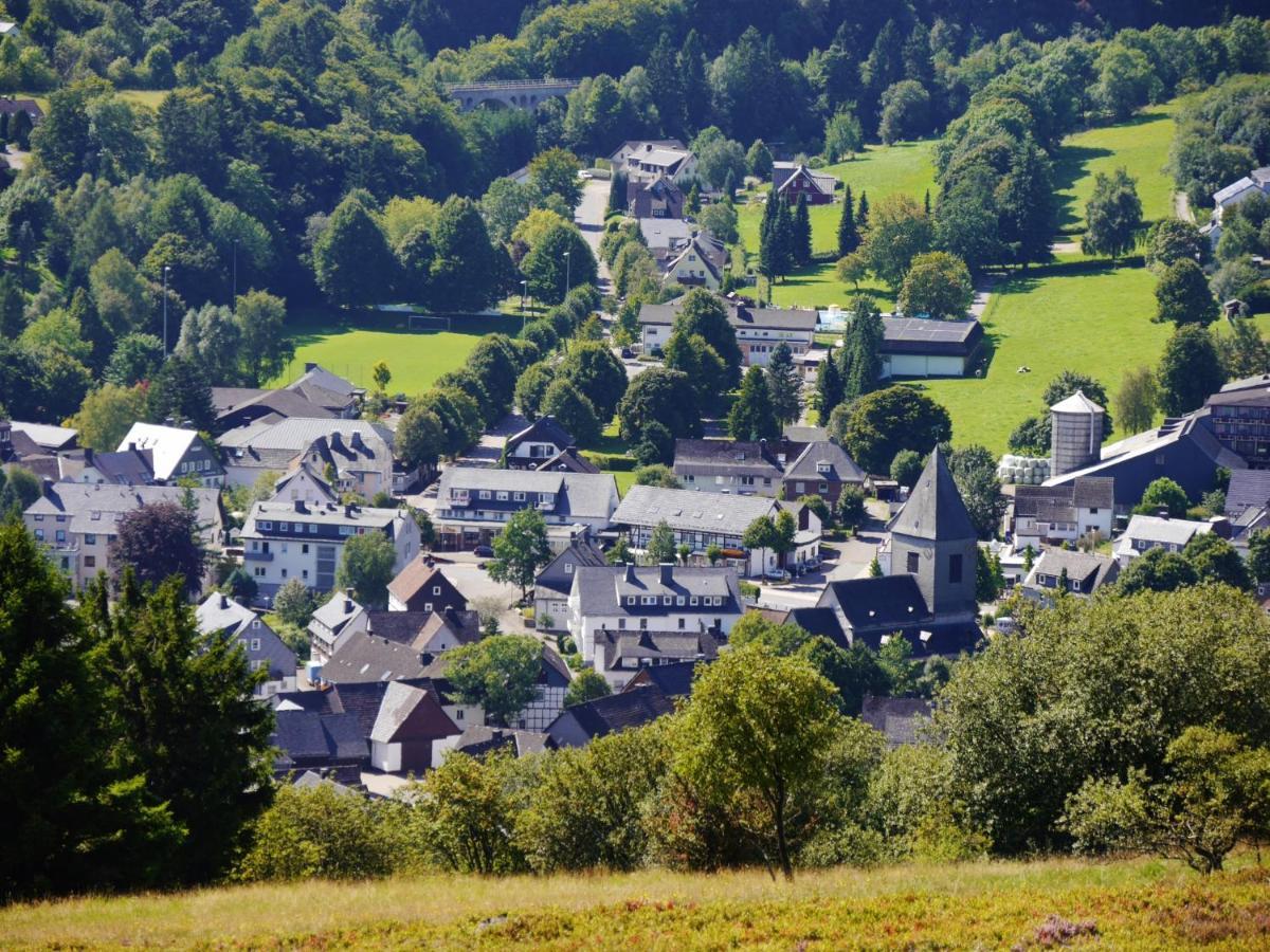 Fewo Blumes Bergfrieden Mit Meinecardplus Willingen  Dış mekan fotoğraf