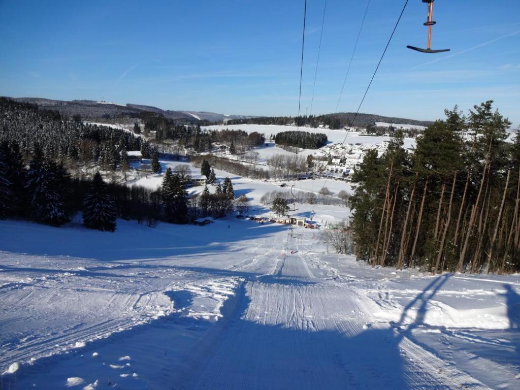 Fewo Blumes Bergfrieden Mit Meinecardplus Willingen  Dış mekan fotoğraf