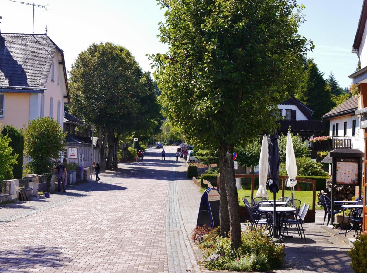 Fewo Blumes Bergfrieden Mit Meinecardplus Willingen  Dış mekan fotoğraf