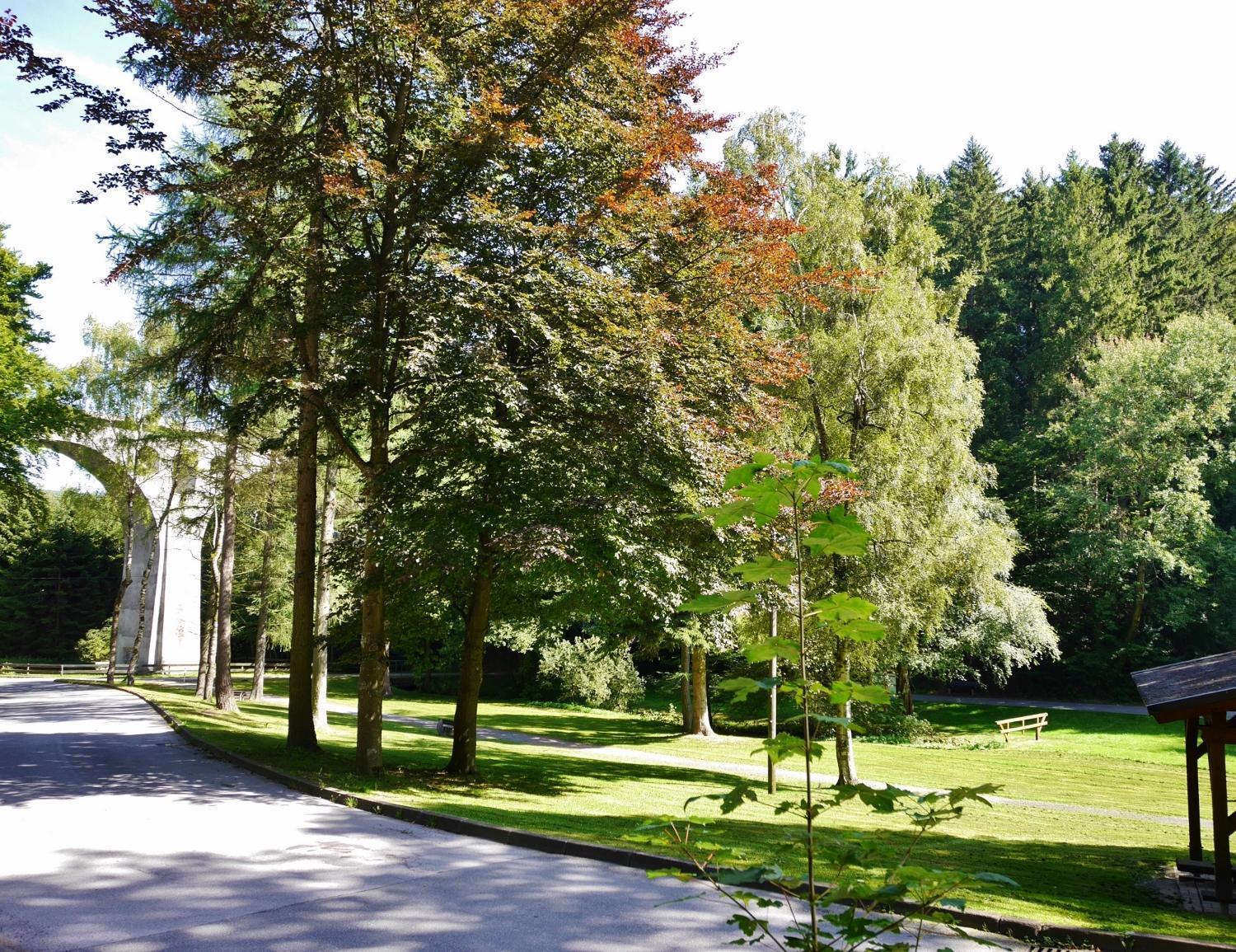 Fewo Blumes Bergfrieden Mit Meinecardplus Willingen  Dış mekan fotoğraf